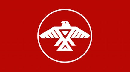 The Dictatorship of -80