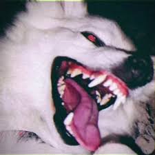 The Empire of -XIII-