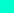 The Colony of 1050937-