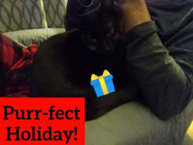 The Republic of A Random Cat