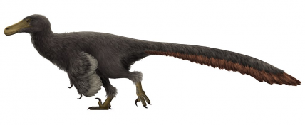 The Republic of Adasaurus