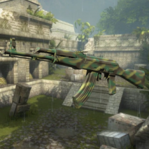 The Republic of AK-47 Jungle