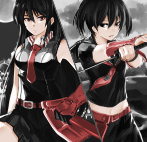 The Anime of Akame Ga Kil1