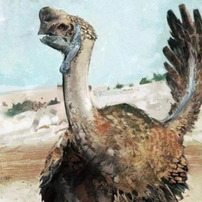 The Dusty and Deserted Stree