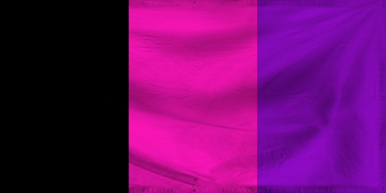 The Political Richlands of A