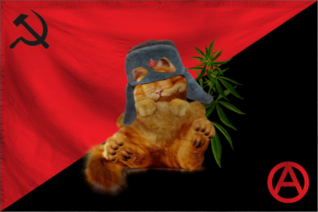 The Free Land of Alisonia