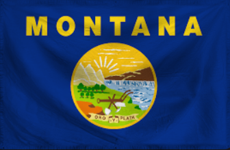 The Armed Republic of Americ