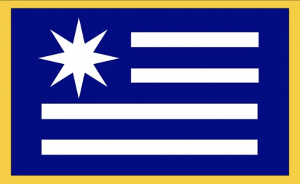 The Democratic States of Ame