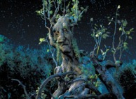 The Ent of An Ent