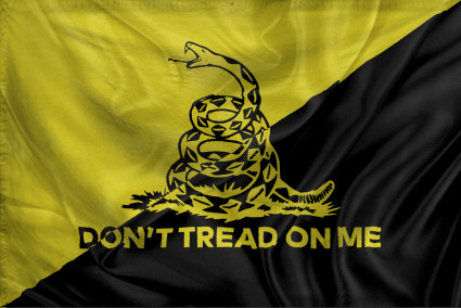 The Rogue Nation of Anarchis
