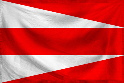 The Democratic Socialist Rep