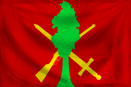 The Socialist military state