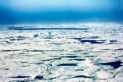 The Freezing Cold of Arctica