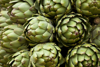 The Republic of Artichokes