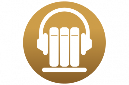 The Audiobook Server of Audi