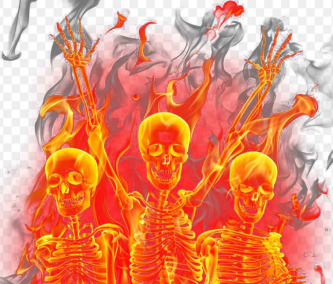 The Republic of B leach z