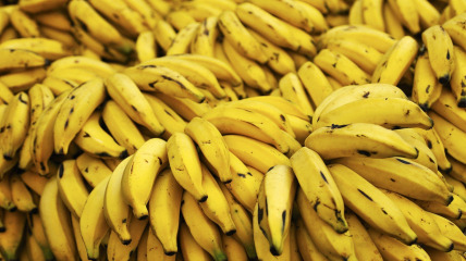 The Tree of Bananas 2