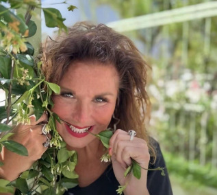 The Principality of Beancurd