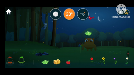 The Populated Place of Bfdio