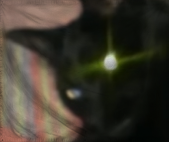 The Arcadian King of Blackth