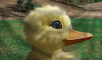 The Republic of Ble ble