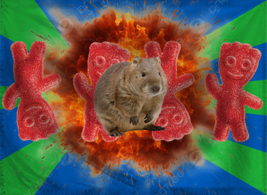 The Republic of Boozled Sour