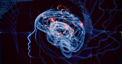 The United States of Brainwa