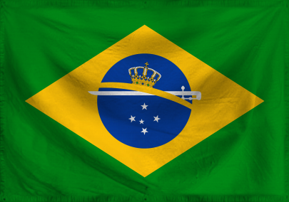 The Constitutional Monarchy 