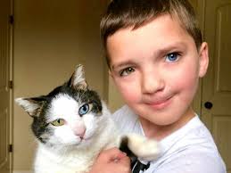 The Radiant Heterochromia Ir