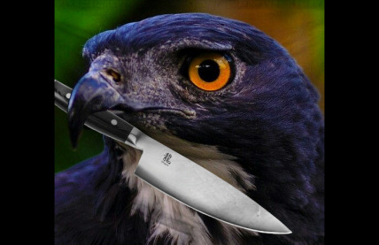 The Black Hawk of C r e e p 