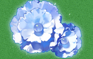 The Democratic Republic of C