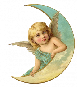 The Republic of Card Cherub 
