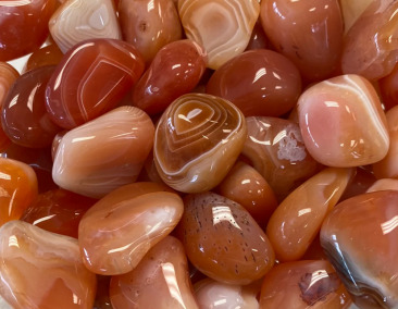 The Colours of Carznelia