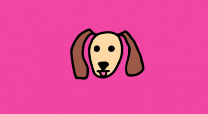 The Republic of Cat vs Dog