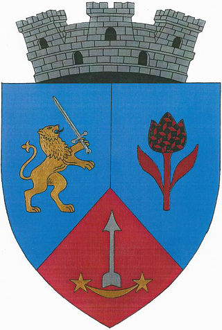 The Republic of Cehu Silvani