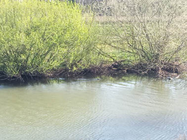 The Colony of Chaoslandistan