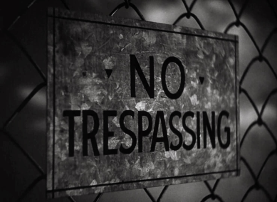 The Snow Globe of Citizen Mi