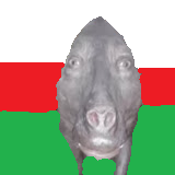 The Principality of Ciudad d