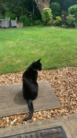 The Kingdom of Clareterious