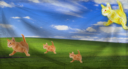 The Empire of Coli manta