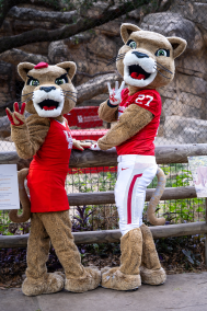 The Commonwealth of Coogs Ho