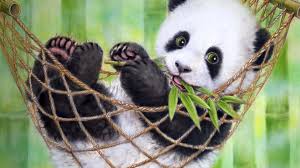 The Free Land of Cute Pandas