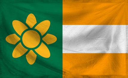 The Confederate State of Dix