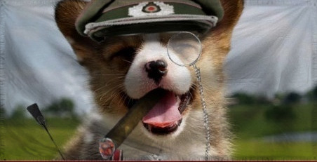 The DA BIG BOSS of Dog Civil