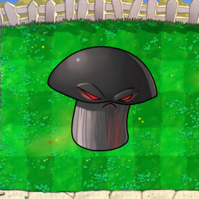 The Republic of Doom-shroom