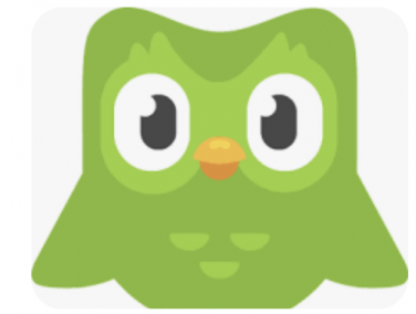 The Federation of Duolingobu