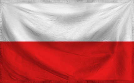 The Republic of Earth Info A