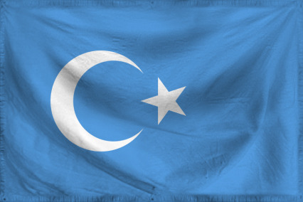 The Republic of East Turkist