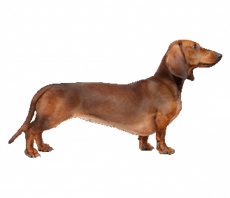 The Republic of Eisenholm