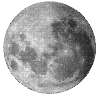 The Republic of Elkhart Luna